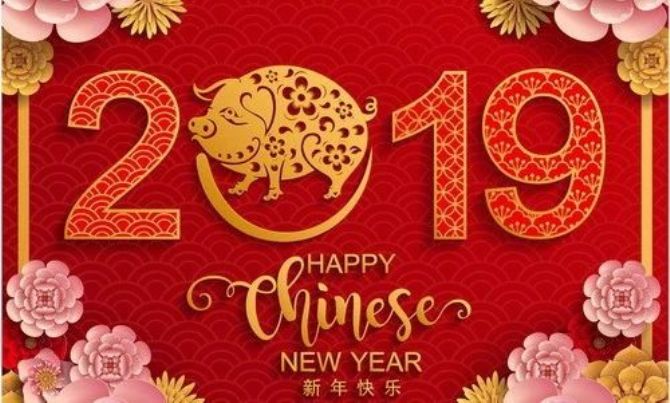 祝你2019豬年快樂(lè) 祝你2019豬年快樂(lè)
